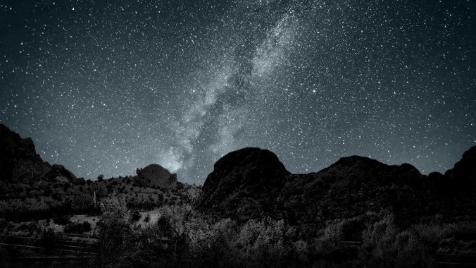 ant-design-vue 社区为什么不维护了？